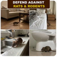 Rat Repellent Spray – Safe, Effective, and Eco-friendly